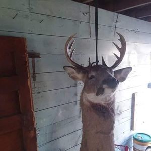 Meet your Posher, Josh